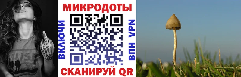 Псилоцибиновые грибы Psilocybe Красный Сулин